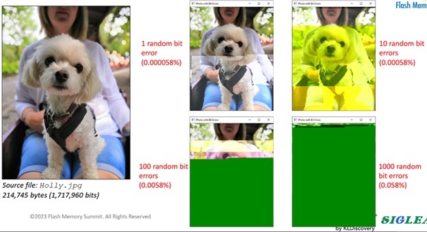 bit eror consequences in photos